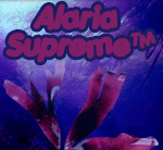 Alaria Supreme