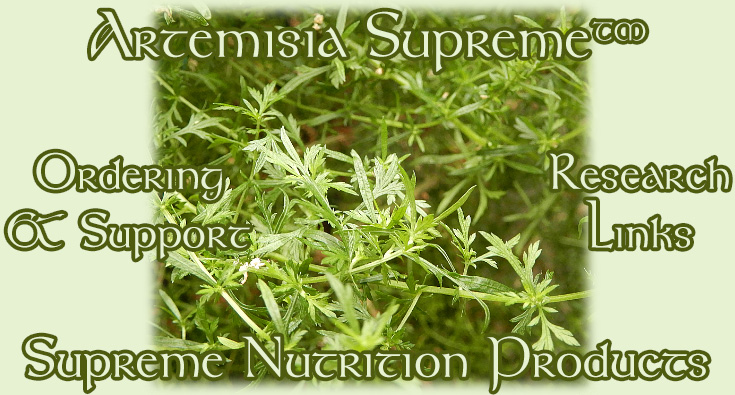 Artemisia Supreme