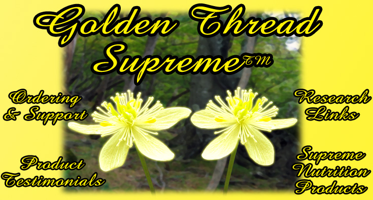Golden Thread Supreme