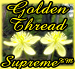 Golden Thread Supreme