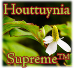 Houttuynia Supreme
