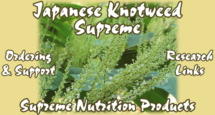 Japanese Knotweed Supreme